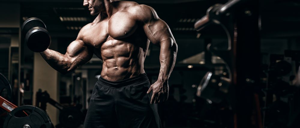 How Long Do SARMs Stay In Your System?