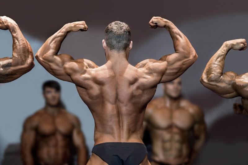 Turkesterone in Professional Bodybuilding: Usage and Trends