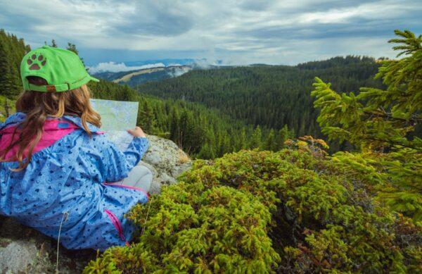 Selank cognitive enhancement