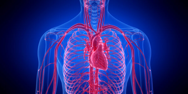 Cardiovascular Health